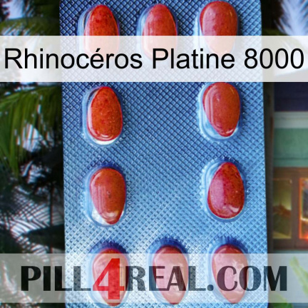 Rhinocéros Platine 8000 06